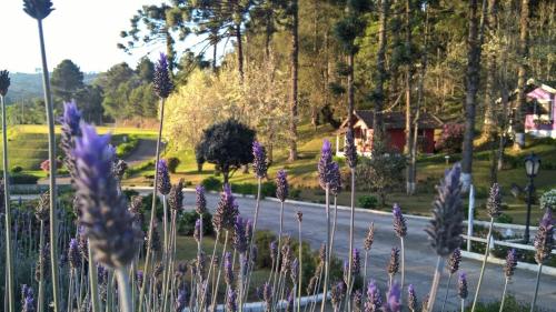Imagen general del Hotel Garden, Campos do Jordao. Foto 3