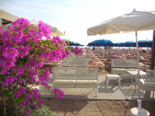 Imagen general del Hotel Garden, Cervia. Foto 5