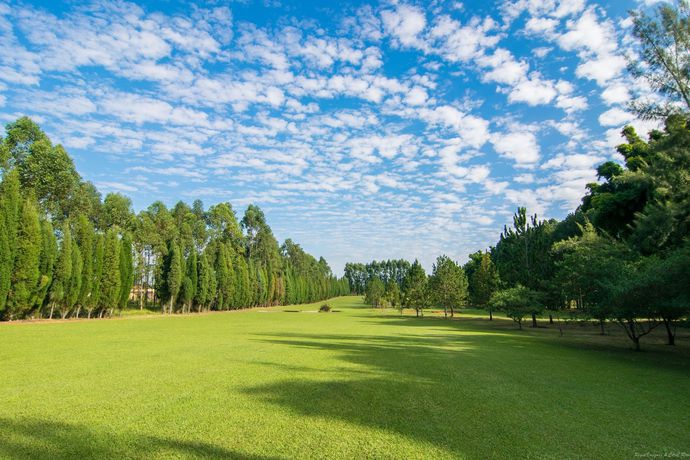 Imagen de los exteriores del Hotel Garden Hill E Golfe. Foto 8