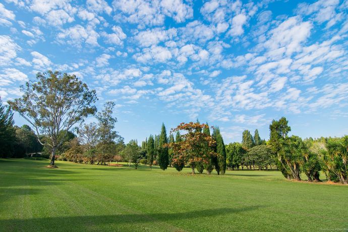 Imagen de los exteriores del Hotel Garden Hill E Golfe. Foto 10