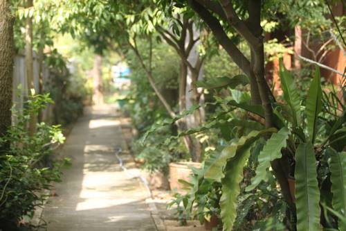 Imagen general del Hotel Garden House, Sukhothai. Foto 5