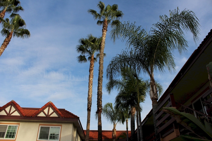 Imagen de los exteriores del Hotel Garden Inn, San Gabriel. Foto 12