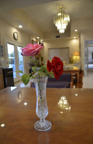 Imagen de los interiores del Hotel Garden Inn and Suites. Foto 20