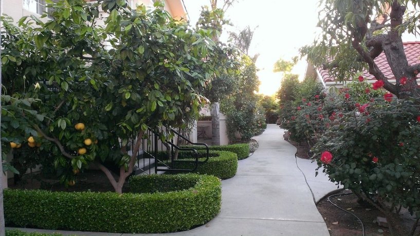 Imagen de la habitación del Hotel Garden Inn and Suites. Foto 13