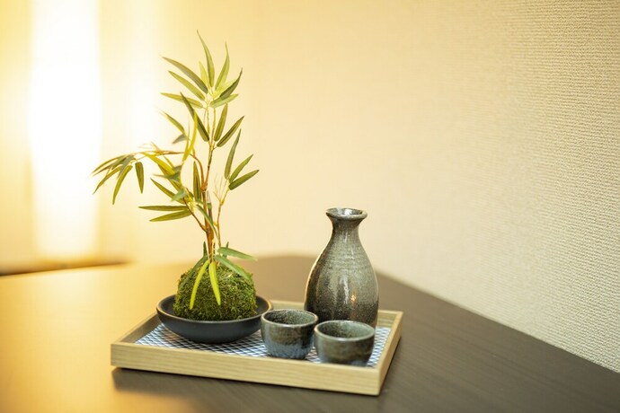 Imagen de los interiores del Hotel Garden Otsuka 706. Foto 17