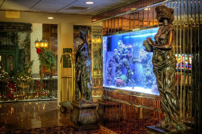 Imagen de los interiores del Hotel Garden Place. Foto 13