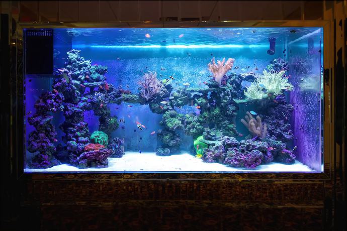 Imagen de los interiores del Hotel Garden Place. Foto 17