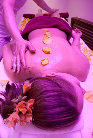 Imagen general del Hotel Garden Ring. Foto 2