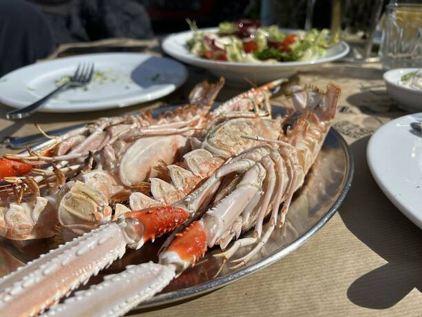 Imagen general del Hotel Garden Village. Foto 5