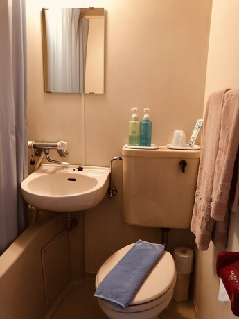 Imagen de la habitación del Hotel Garden Yamato. Foto 26