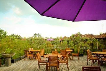 Imagen general del Hotel Gardenia Resort and Spa. Foto 11