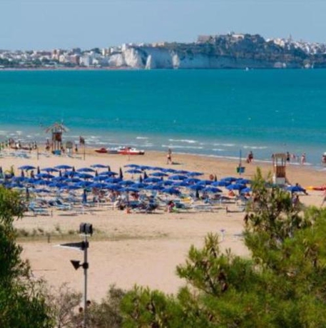 Imagen general del Hotel Gargano. Foto 9