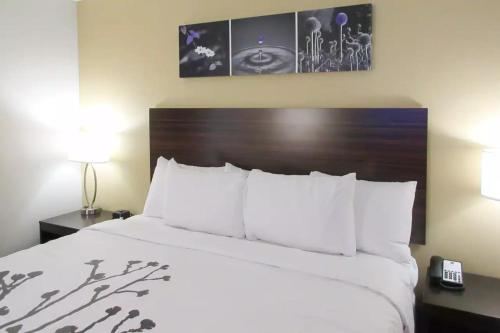Imagen general del Hotel Garner Clarksville Northeast, An Ihg. Foto 1