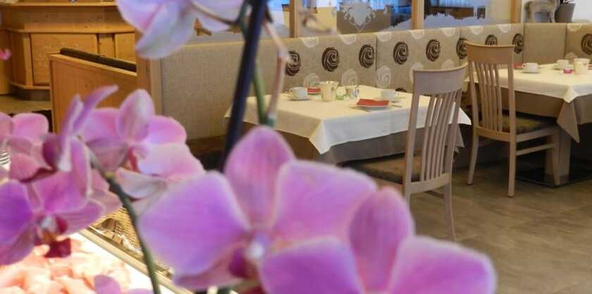 Imagen general del Hotel Garni Apartments Mezdi. Foto 10