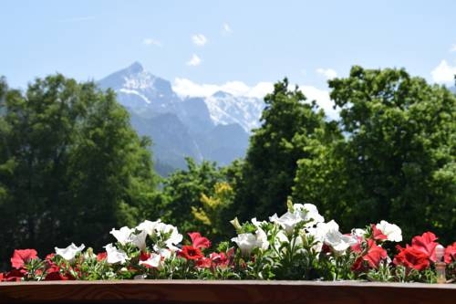 Imagen general del Hotel Garni Brunnthaler. Foto 2