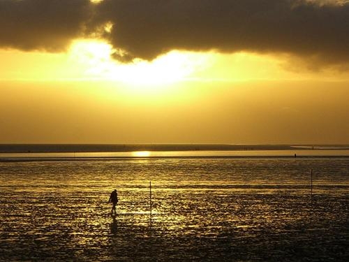 Imagen general del Hotel Garni Deichgraf. Foto 5