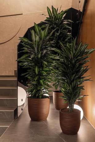 Imagen de los interiores del Hotel Garni Galeria. Foto 13