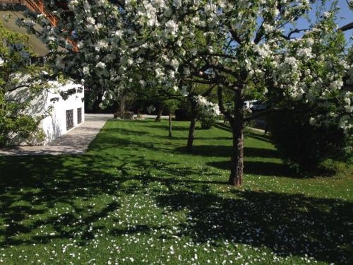 Imagen general del Hotel Garni Gästehaus Brand. Foto 7