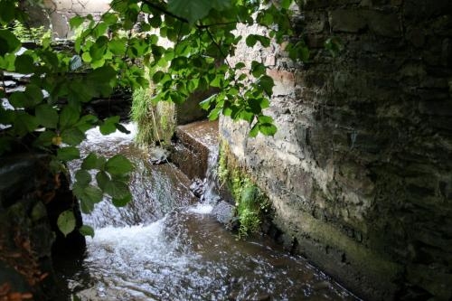 Imagen general del Hotel Garni Lindenm&uuml;hle. Foto 8