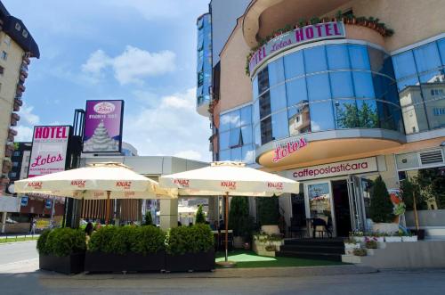 Imagen general del Hotel Garni Lotos. Foto 4