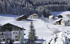 Imagen de los exteriores del Hotel Garni Pra Palmer. Foto 4