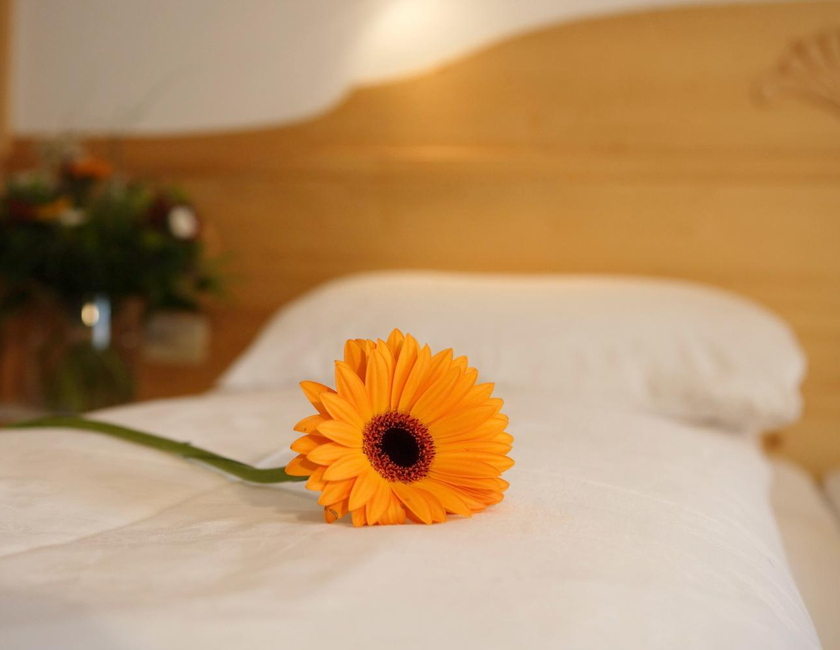 Imagen general del Hotel Garni Reutlingen. Foto 17