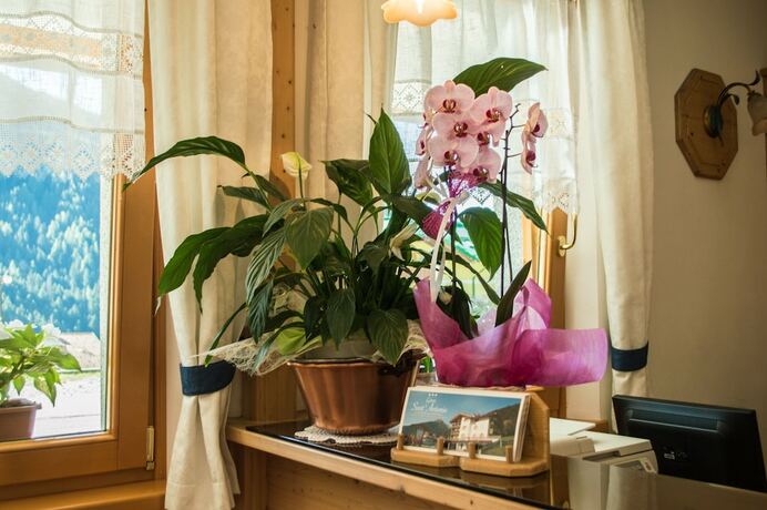 Imagen general del Hotel Garni Sant\'Antonio. Foto 5