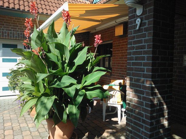 Imagen de los interiores del Hotel Garni Schneevoigt. Foto 19