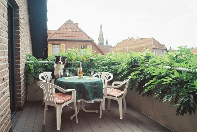 Imagen de la habitación del Hotel Garni Schneevoigt. Foto 13