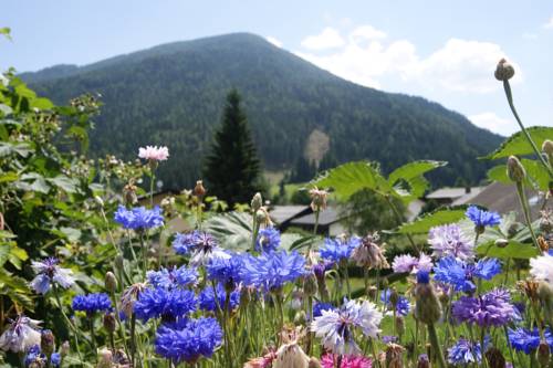 Imagen de la habitación del Hotel - / Garni Sonnenheim. Foto 3