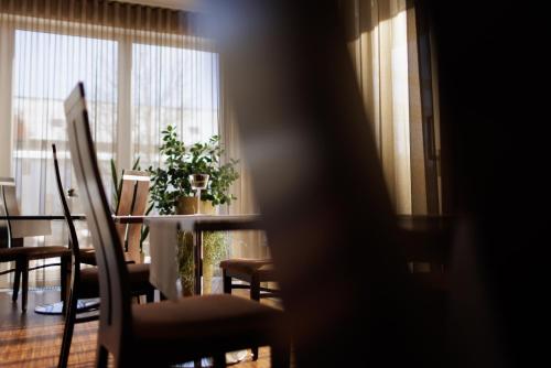 Imagen general del Hotel Garni Toscanina - Adults Only. Foto 7