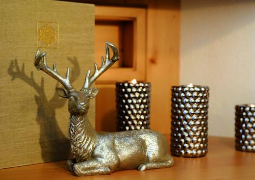 Imagen de la habitación del Hotel Garni Urezza. Foto 3