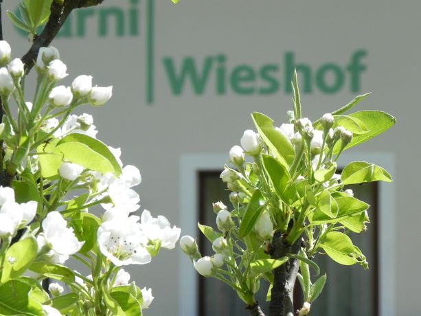 Imagen de los interiores del Hotel Garni Wieshof. Foto 12