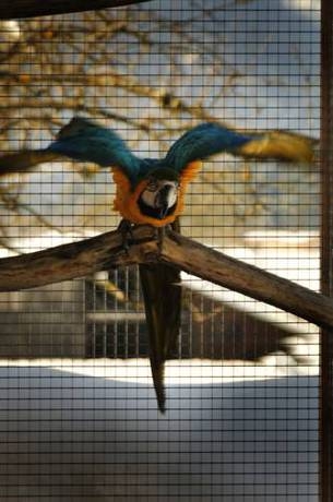 Imagen general del Hotel Garni Zerza. Foto 9