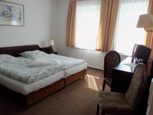 Imagen de la habitación del Hotel Garni Zum Goldenen Ring. Foto 10