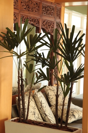 Imagen de los interiores del Hotel Garopaba Mar. Foto 14