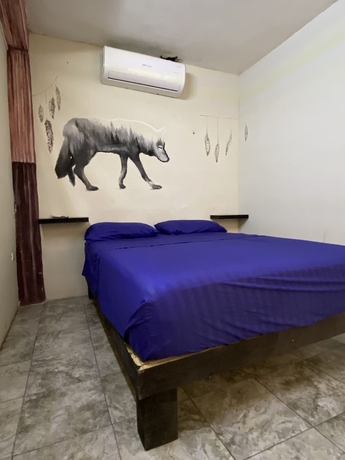 Imagen de la habitación del Hotel Garra Charrua. Foto 16