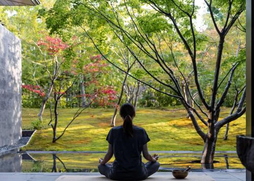 Imagen general del Hotel Garrya Nijo Castle Kyoto. Foto 8