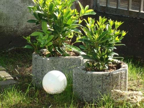 Imagen general del Hotel Gartenhof. Foto 8