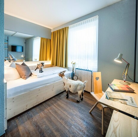 Imagen de la habitación del Hotel Gartenhotel Fettehenne. Foto 16
