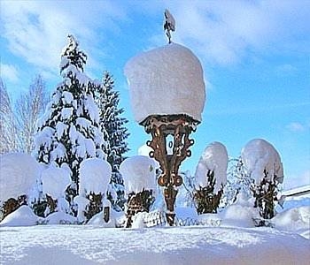 Imagen general del Hotel Gartenhotel Toni. Foto 37