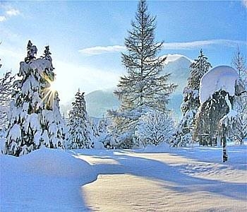 Imagen general del Hotel Gartenhotel Toni. Foto 38