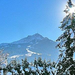 Imagen general del Hotel Gartenhotel Toni. Foto 41