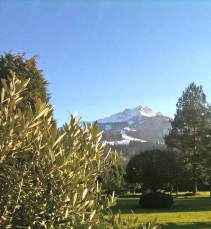 Imagen general del Hotel Gartenhotel Toni. Foto 44