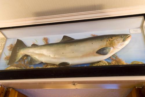 Imagen general del Hotel Garth, Grantown on Spey. Foto 4