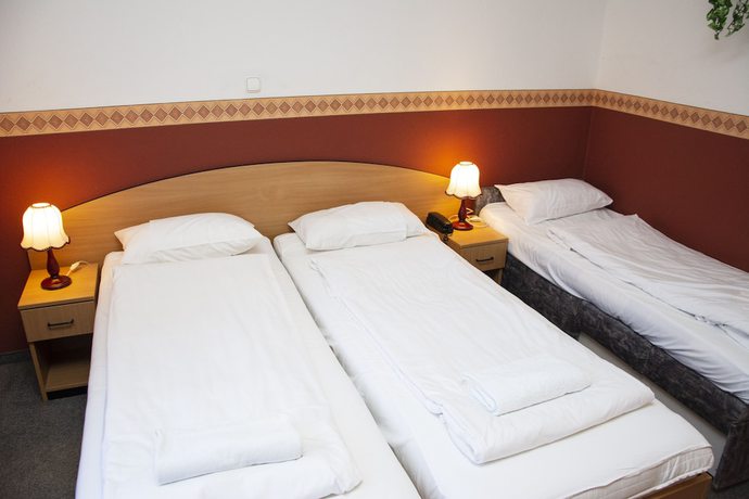 Imagen de la habitación del Hotel Gartner. Foto 3