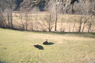 Imagen general del Hotel Gaspa. Foto 7