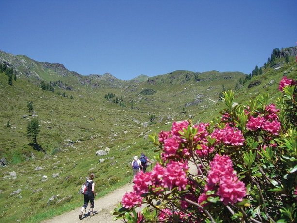 Imagen general del Hotel Gaspingerhof. Foto 2