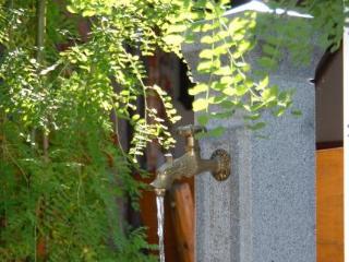 Imagen general del Hotel Gasthaus Bonimeier. Foto 19