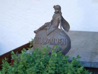 Imagen general del Hotel Gasthaus Bonimeier. Foto 20